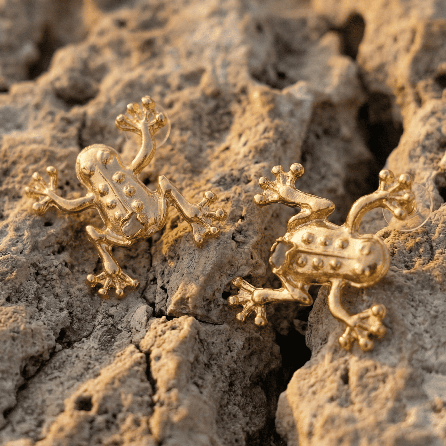 Sapo Morralla