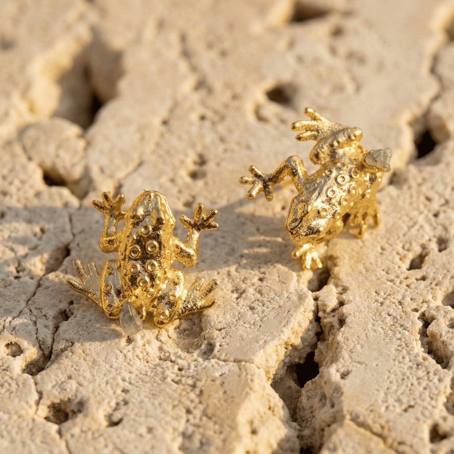 Ranas con Morralla