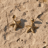Estrella De Mar