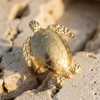 Tortuga Nadando
